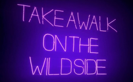 Take a walk on the wildside 740x458