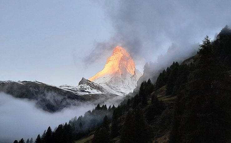 Freiheitskämpfer Interview Scannerin Millionär Schweiz