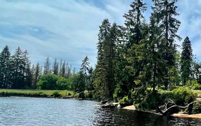 Millionär Interview 48 - StoicDoc 2 Millionär Interview 48 StoicDoc Wald mit See