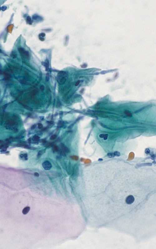 Millionär Interview 48 - StoicDoc 3 Millionär Interview 48 StoicDoc Medizin Studium