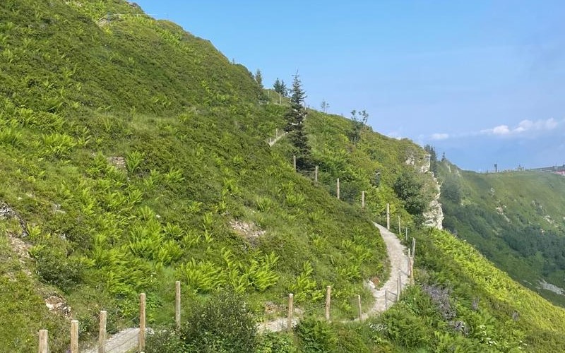 Millionär Interview 48 - StoicDoc 4 Millionär Interview 48 StoicDoc Wanderpfad