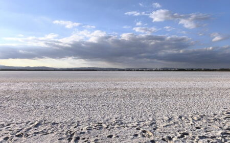 Altersvorsorgedepot 2027 Freiheitsmaschine