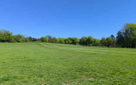 Gesetzliche Rente 2026 - Status quo, Reform und Ausblick - Freiheitsmaschine