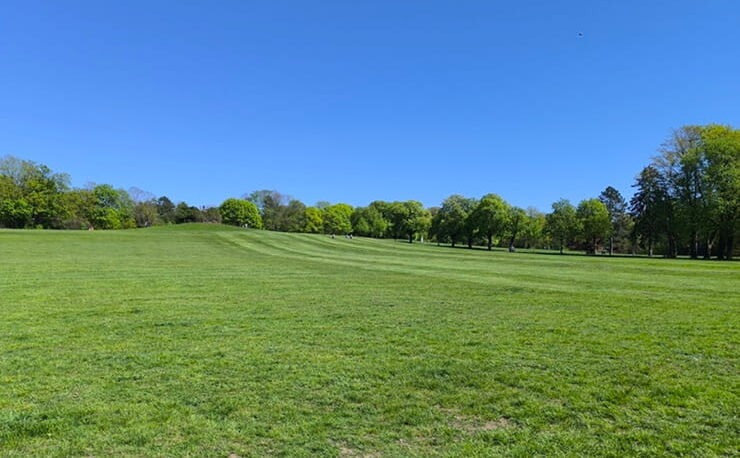 Gesetzliche Rente 2026 - Status quo, Reform und Ausblick - Freiheitsmaschine