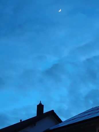 IMG 20260123 173753519 copy 990x1320