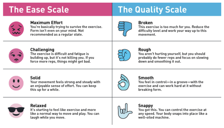 GMB Fitness ease and quality scale